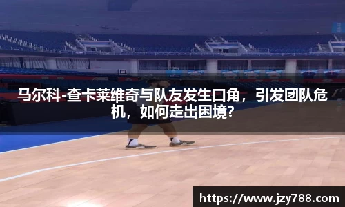 马尔科-查卡莱维奇与队友发生口角，引发团队危机，如何走出困境？