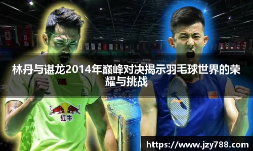 林丹与谌龙2014年巅峰对决揭示羽毛球世界的荣耀与挑战